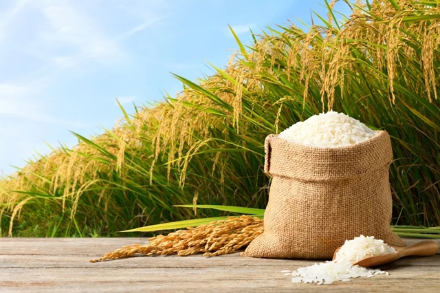 ST8 ước lãi 5 tỷ đồng nửa đầu năm, khẳng định "không rủi ro" về các khoản phải thu lớn
