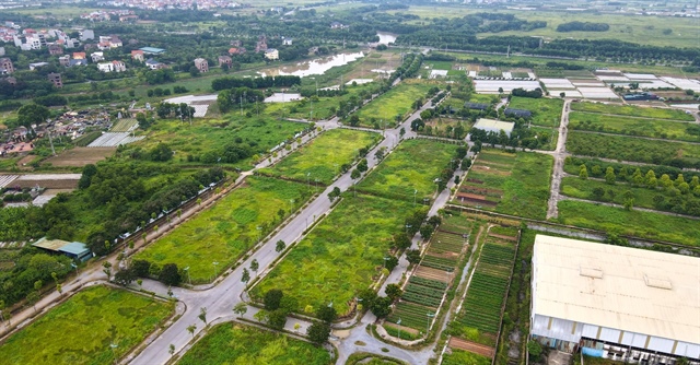 Giá đất 'bong bóng' đang thành thước đo cho bảng giá đất mới?