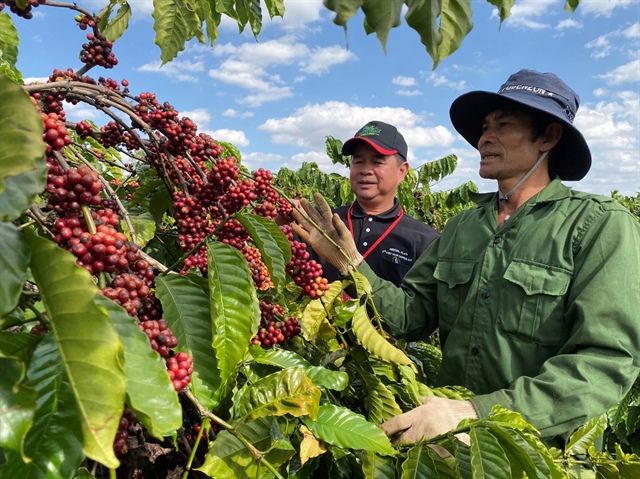 Agricultural trade worth $57 billion in first half of 2025