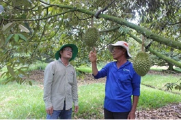 Loạt dự án chiến lược ở Tây Ninh được chấp thuận chủ trương đầu tư