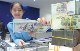 Policy tools in play as exchange rate rises