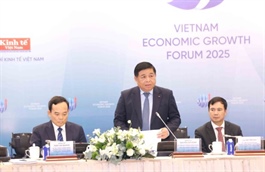 Fresh vision, bold actions a must to achieve growth: Deputy PM