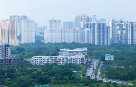 Apartment segment regains momentum