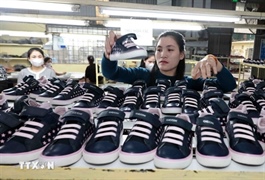Việt Nam – US economic ties thrive as bilateral relations enter new chapter