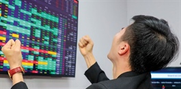 VN30 vượt mốc 1,600 điểm lên đỉnh lịch sử