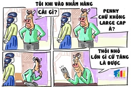VN-Index có đợt tăng dài
