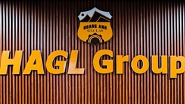 HAG bổ sung nội dung lấy ý kiến cổ đông