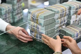 Quy mô tín dụng 6 tháng của các TCTD tại Khu vực 2 chiếm gần 31% dư nợ tín dụng toàn ngành