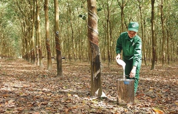 Agro-exporters urged to align with modern standards