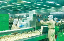 Slow admin processes still hinder enterprises