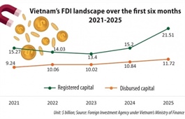 FDI inflows on track for 2025 scenario