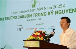 Carbon trading platform set for trial run by end of year