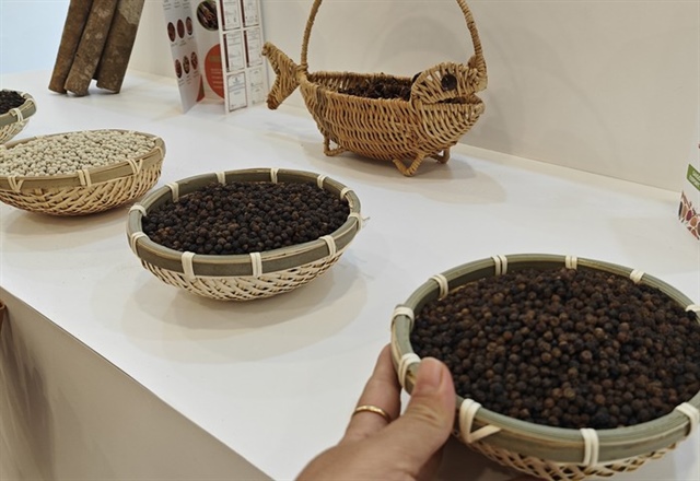 Giá tiêu hôm nay giảm mạnh, nhà đầu tư sốt ruột - Ảnh 1.