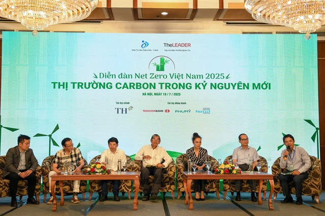 Forging Vietnam’s carbon market: From policy framework to practical action