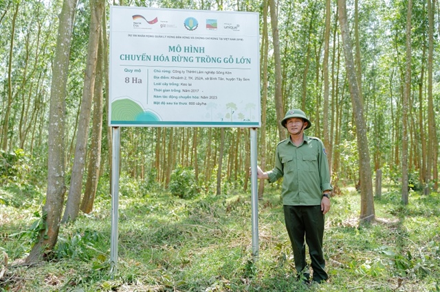 Promoting sustainable forest management through long-cycle plantation models