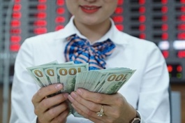 Ho Chi Minh City receives over $5.2 billion in remittances in first half of 2025