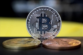 Việt Nam’s digital asset market attracts major players