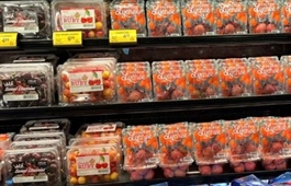Vietnamese lychees debut at leading US retail giant Costco