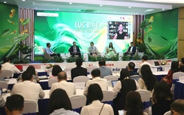 Calls grow for reforms to attract long-term capital to Vietnam