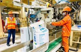 Dutch agree on expansion of initiatives