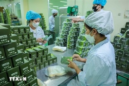 "Digital passport" for Vietnamese goods to reach global markets