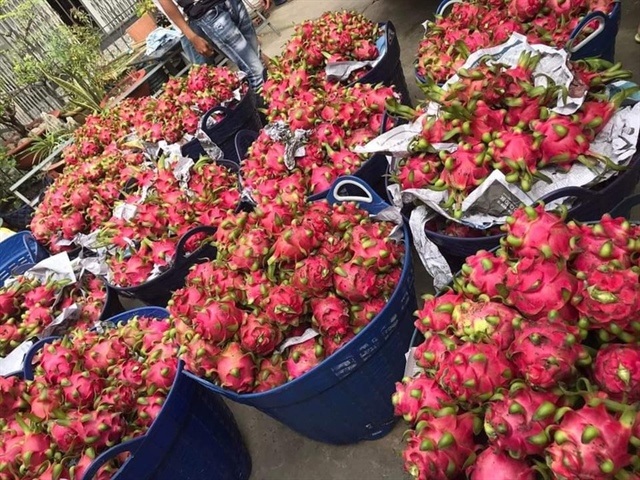 Cấp thiết minh bạch biện pháp SPS trong xuất khẩu thực phẩm- Ảnh 1.