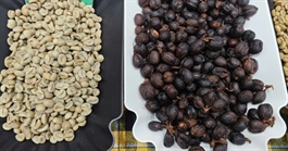 Giá cà phê hôm nay 27-7: Giá trong nước cao hơn thế giới 12.000 đồng/kg