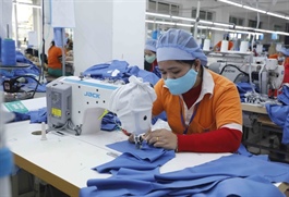 Building a research hub will advance Việt Nam’s fashion supply chain