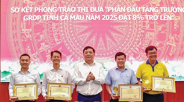 New Ca Mau boosts industry and trade for stronger growth