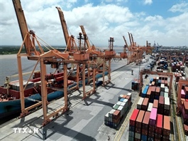 EVFTA after 5 years: Trade Counselor highlights gains, challenges, strategic path forward