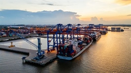 Nam Dinh Vu Industrial Park taps new free trade zone to attract high-quality investment