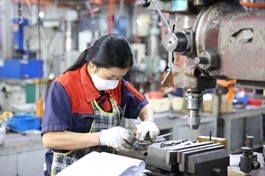 New decree paves the way for supporting industry breakthrough