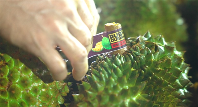 Phía Trung Quốc nói gì sau chuyến kiểm tra vùng trồng sầu riêng Việt Nam?- Ảnh 1.