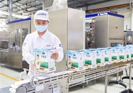 Private enterprises to be a driving force behind VN's brands