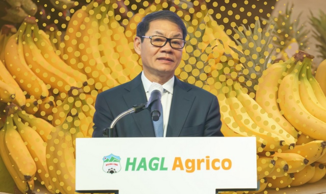 HAGL Agrico cõng hơn 10,200 tỷ nợ tài chính, lãi gộp không đủ 'gánh' lãi vay