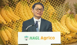 HAGL Agrico cõng hơn 10,200 tỷ nợ tài chính, lãi gộp không đủ 'gánh' lãi vay