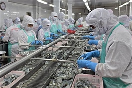 Rise in exports helps bolster economic growth