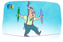 Nhịp đập Thị trường 06/08: Sắc xanh áp đảo thị trường, VN-Index tiếp tục khởi sắc