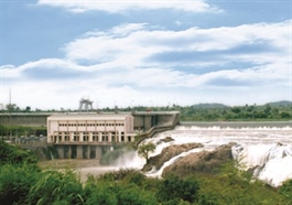 DRL chốt ngày tạm ứng 19 tỷ đồng cổ tức, lên kế hoạch quý 3 đi lùi