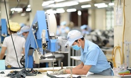 Cả nước có 107.7 ngàn doanh nghiệp đăng ký thành lập mới trong bảy tháng đầu năm 2025