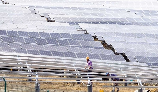 Two delayed $720 million solar power projects in Nghe An proposed to be withdrawn