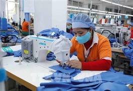 Ministry seeks ways to expand export markets amidst US’s 20% reciprocal tariff