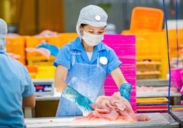 Thuế đối ứng 20% của Mỹ: Doanh nghiệp Việt bước vào chặng đường mới