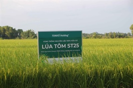 Việt Nam’s agricultural transformation into global export powerhouse