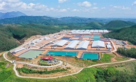 Phó TGĐ BAF: Cam đoan các trại heo đang được bảo vệ nghiêm ngặt nhất