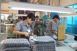 Cổ đông lớn TNC thoái sạch vốn ngay trong ngày giao dịch không hưởng quyền chia cổ tức 