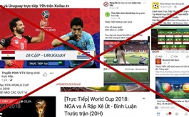Content piracy threatens Việt Nam’s digital economy despite user awareness