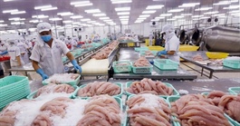 Lo xuất khẩu thủy sản giảm vì thuế đối ứng