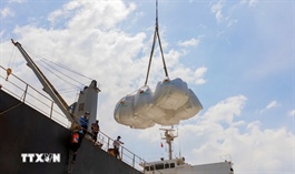 Philippines tạm dừng nhập khẩu liệu có tác động đến gạo Việt Nam?