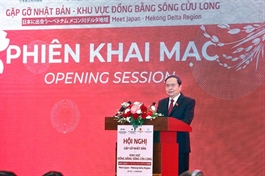 Việt Nam encourages Japanese firms to invest in key sectors: NA leader